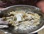草鱼豆腐煲的做法图解4