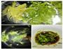 皮蛋拌豆腐的做法图解2