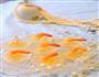 自创菜-创意凉菜-水晶虾冻的做法图解9