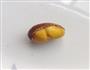 炒栗子的做法图解1