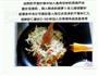 素炒西葫芦的做法图解3