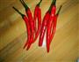 香菇牛肉酱的做法图解5