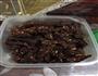 麻辣牛肉的做法图解6