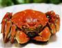 清蒸大闸蟹的做法图解4