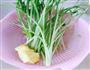 芹菜香干的做法图解1