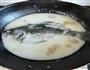 牛奶鲫鱼汤的做法图解5