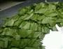 酱香油麦炒鸡蛋的做法图解1