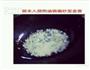 海米菠菜的做法图解1