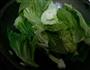 豆酱大芥菜的做法图解1