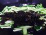 青菜炒黑木耳的做法图解6