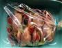 法式蜜汁烤鹌鹑的做法图解5