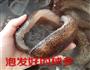 红烧球参猪蹄的做法图解1