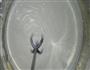 奶酪布丁的做法图解6