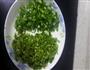 美味改版客家菜-肉酿香菇的做法图解1