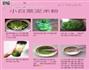 宝宝辅食的做法图解8