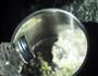 酸猪蹄-爽口不油腻的做法图解8