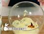 黄油曲奇的做法图解4