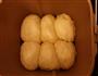 红薯面包的做法图解6