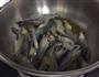 简单烧虾的做法图解1