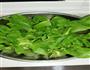 蚝油香菇油菜的做法图解1
