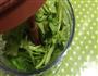 芹菜叶蛋黄虾卷饼的做法图解1