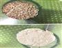 芹菜叶蛋黄虾卷饼的做法图解2