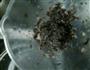 自制紫菜肉丸的做法图解4