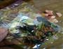 简便中饭土豆炒饭丸子紫菜汤的做法图解6