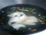鱼汤的做法图解4