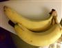 香蕉薄片的做法图解1