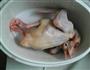 温补鸽子汤的做法图解1
