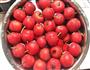 山楂的多种吃法的做法图解1