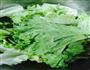 蚝油生菜的做法图解1