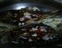 碳烤活鱼的做法图解8