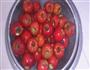 山楂罐头的做法图解2