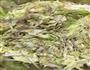 圆白菜饼的做法图解2