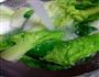 油淋娃娃菜的做法图解1