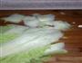 白菜炖豆腐的做法图解4