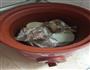 牛筒骨煲汤的做法图解2