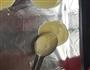 入门级零失败芝麻瓜子薄饼的做法图解5
