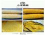 玉米渣饼+玉米汁的做法图解1