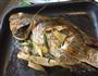 烤魚的做法图解2