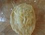 芝士土豆泥面包的做法图解10