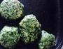 草头饼的做法图解2