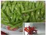 干煸四季豆的做法图解1