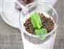 草莓雪梨smoothie的做法图解5