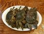 生腌香糟毛蟹的做法图解6