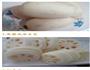 糖醋藕夹的做法图解1