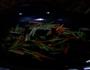 芹菜炒木耳的做法图解5