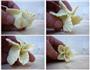 青菜蒸饺的做法图解4
